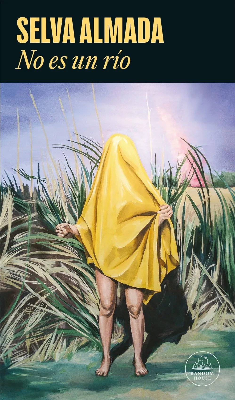 Portada: NO ES UN RIO