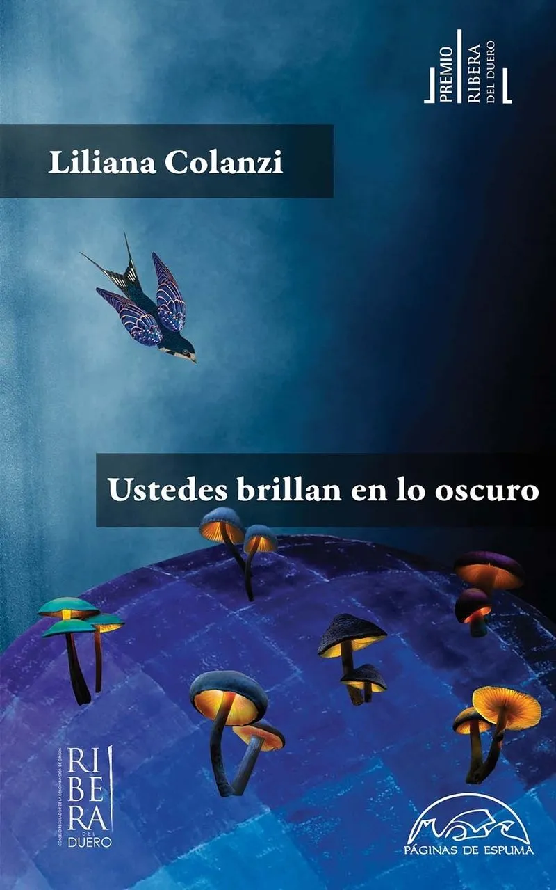 Portada: USTEDES BRILLAN EN LO OSCURO