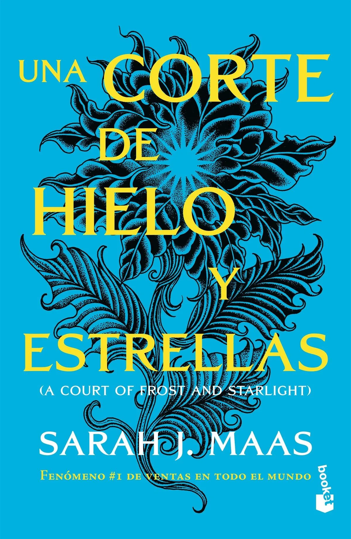 Portada: UNA CORTE DE HIELO Y ESTRELLAS