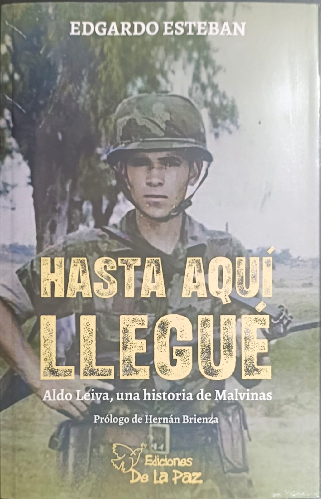 Portada: HASTA AQUI LLEGUE - ALDO LEIVA, UNA HISTORIA DE MALVINAS