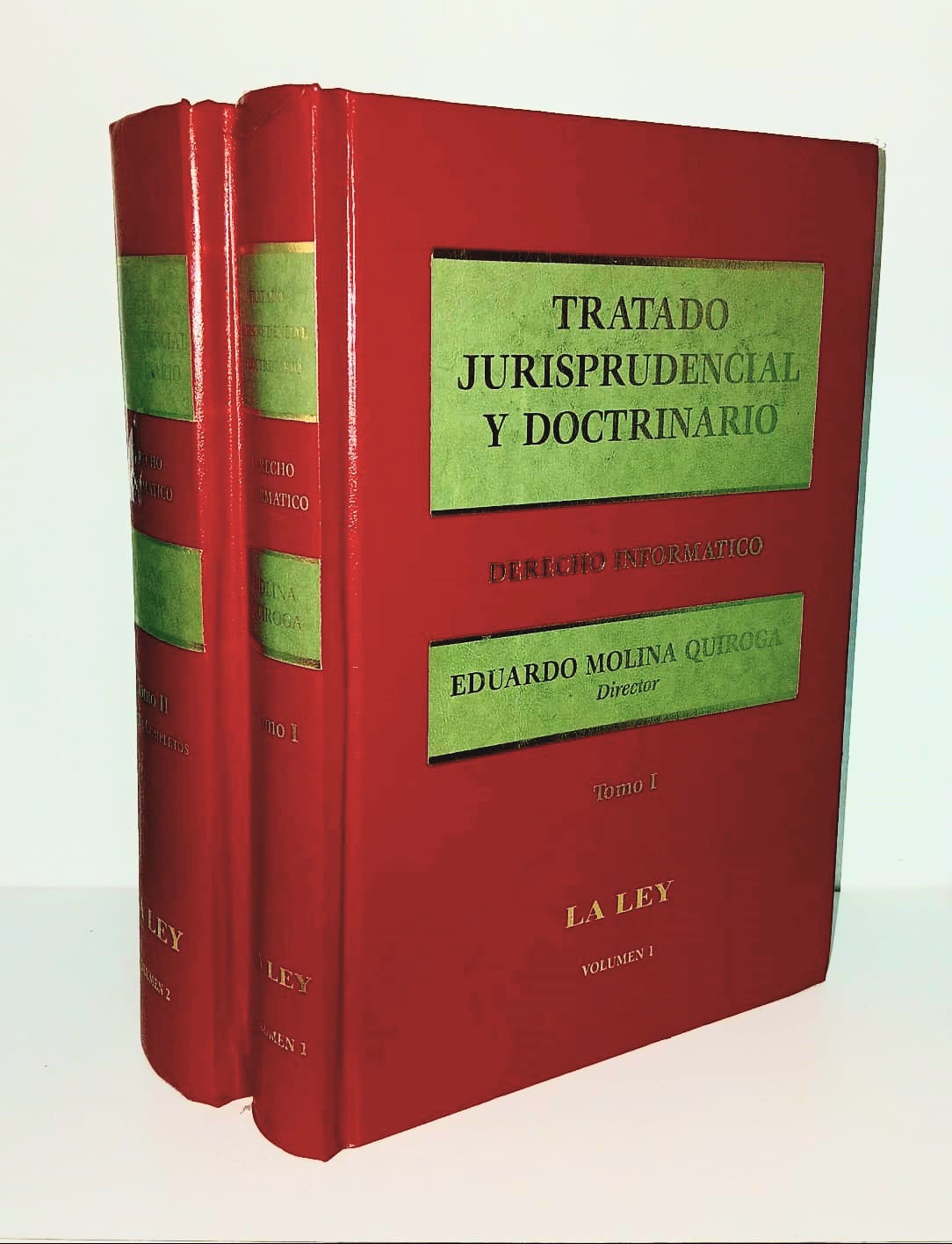 Portada: TRATADO JURISPRUDENCIAL Y DOCTRINARIO - DERECHO INFORMÁTICO (2 TOMOS)