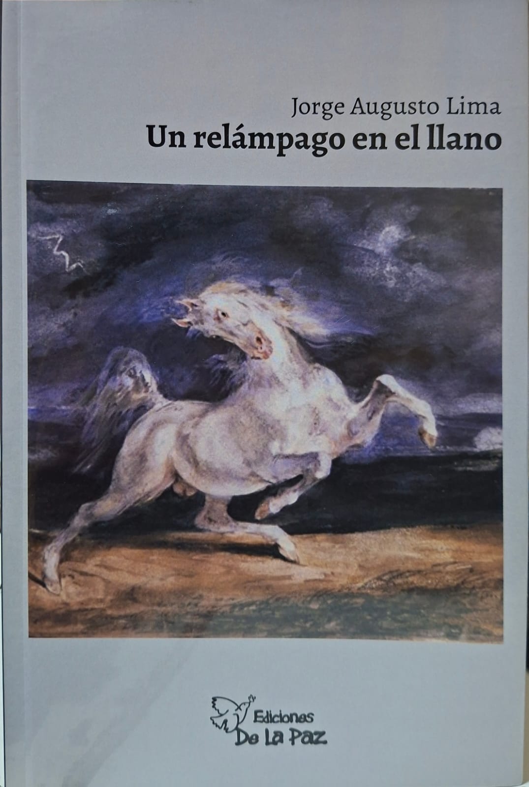 Portada: UN RELÁMPAGO EN EL LLANO